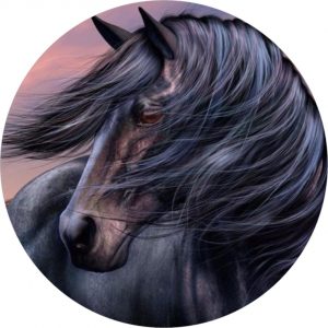 Afbeelding Zwart Paard Eetbare Print